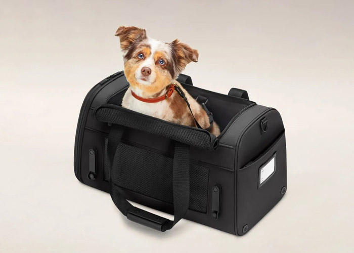 Image of dog tring to hide in a travel bag